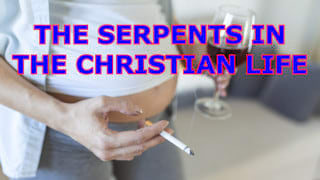Are there serpents in your Christian life?