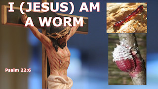 What does it mean that Jesus is a worm, Psalm 22:6