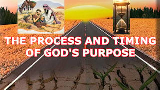 Why is 'The process and timing of God's purpose' important?