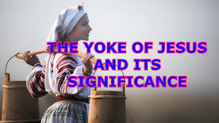 What is the significance of 'The 