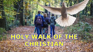 We walk by the spirit